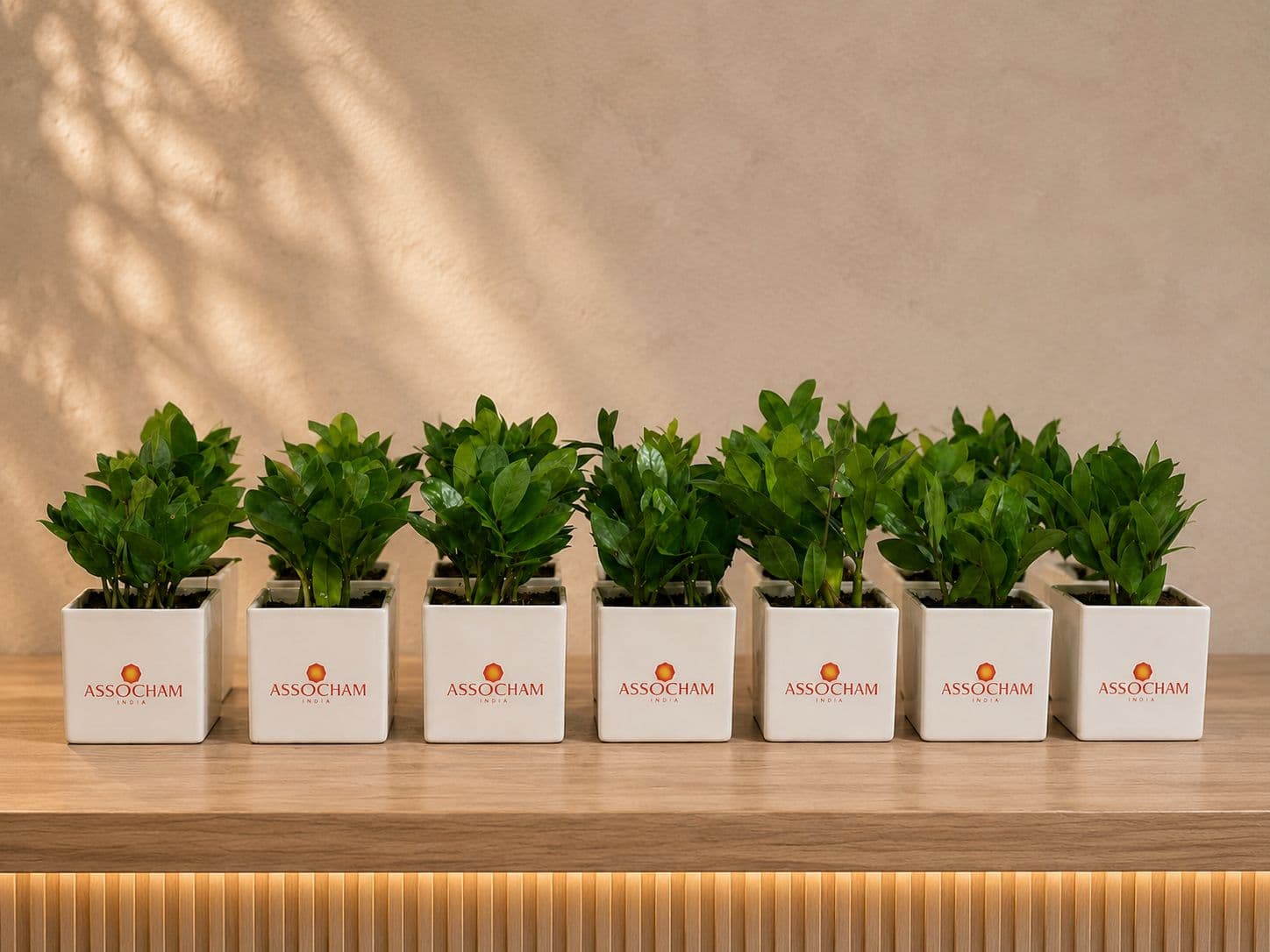 ASSOCHAM branded corporate plant gifts on a wooden counter