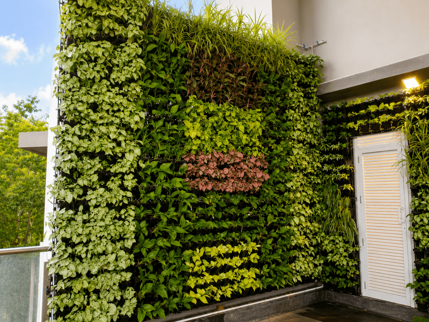 Living vertical garden wall with a dense arrangement of green plants